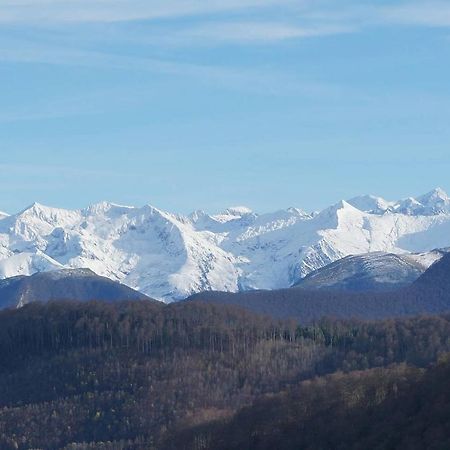Joli Gite En Ariege Avec Vue Buzan Dış mekan fotoğraf